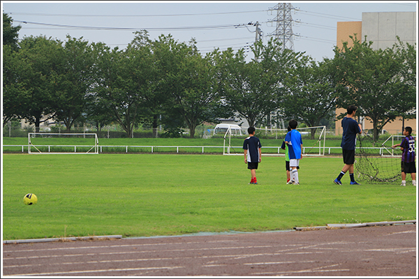 サッカーとか葉っぱとか抜け殻 Photo by CANON EOS 70D