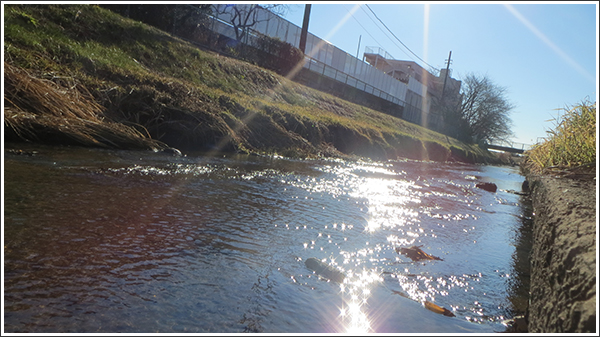 2014年 川と朝日