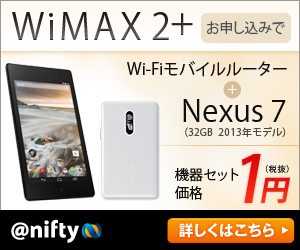 WiMAX-A_300x250